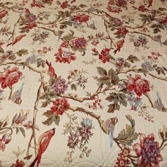 Waverly Charleston Chirp Reverses scalloped Birds Toile cottage farm Full Queen - Picture 7 of 16